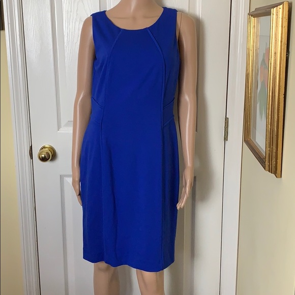 ANTONIO MELANI Dresses & Skirts - Cobalt blue Antonio Melani knit dress size 8